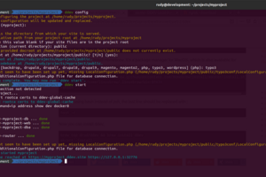 Running ddev in zsh